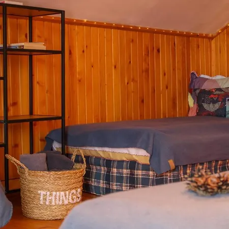 The Wooden Nest -covasna 木屋 *